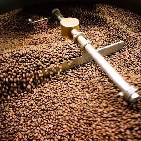 Roasted beans with a sampling scoop