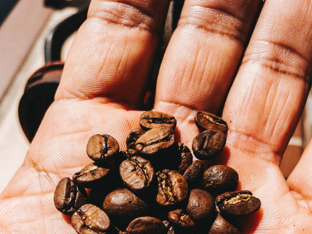 A handful of roasted Kenyan beans